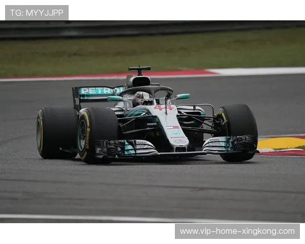 F1排位赛意外失误致冠军出局，车队内讧露端倪