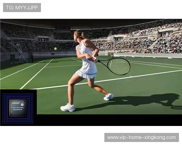 网球赛事数据版权商业化路径探索