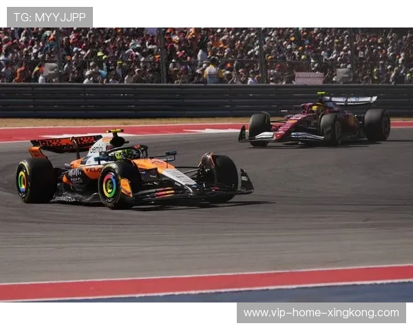 维斯塔潘比赛节奏模拟几乎完美